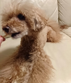 ���݂���