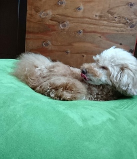 �J����