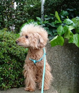 �Ђ���