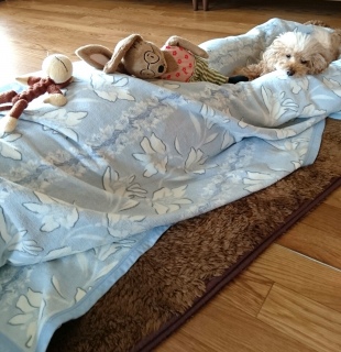 ��l�C�I