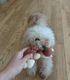 �����[�[�[