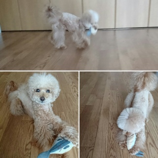 ����