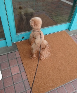 ���[���[�ā[