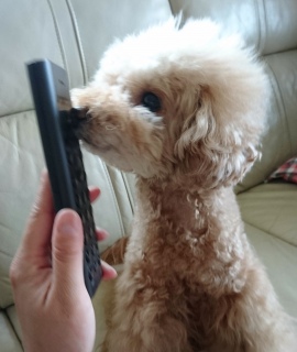 �������`��