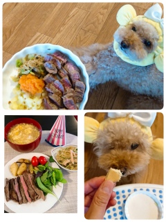 �p�[�e�B�[