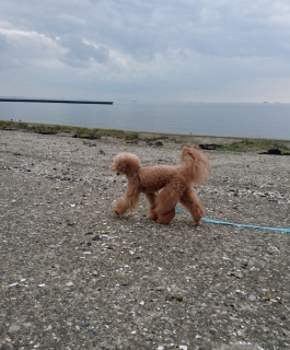 �e�P�e�P�`