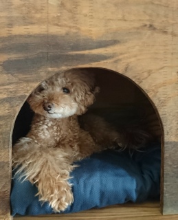 �{�[�[�[�b