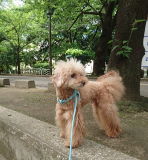 �������