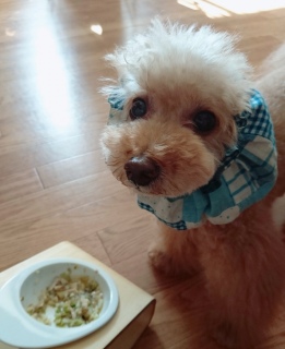 ����[���񂲔�