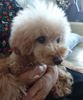 ���������`��