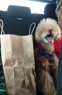 �΂��΁`��