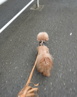 �����[�[�[�I