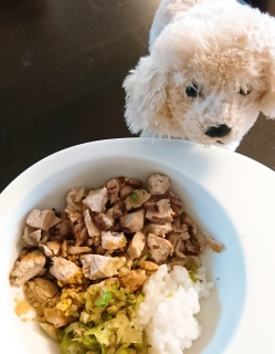 ����[���񂲔�